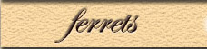 Ferret Stamps