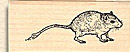 Mice, gerbils, and other small pets stamps