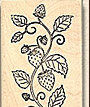Floral stamps, flower stamps, plant stamps