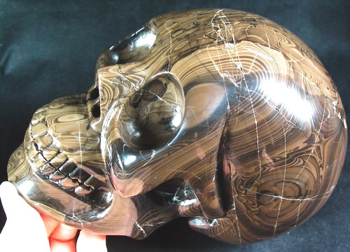 GIANT 7.5LB Coffee Stone Skull,Crystal over 7.3"