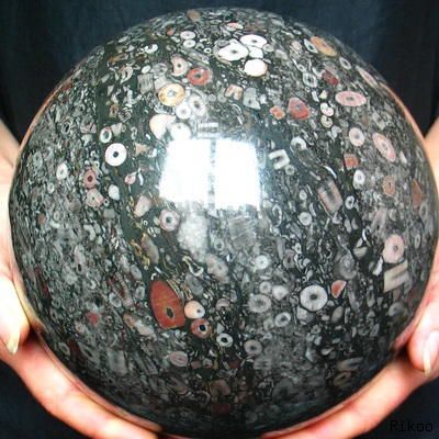 Titan 175mm(6.9") Crinoid Fossil Sphere, Crystal Ball