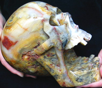 Stunning Lifesize Crazy Lace Agate Screaming Skull