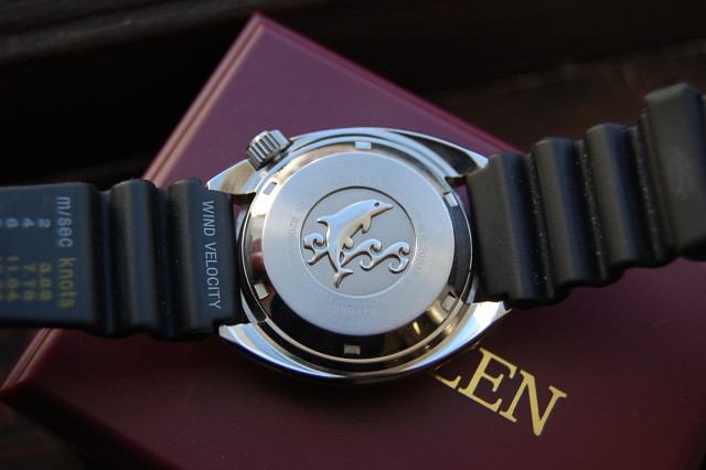 citizen dolphin diver