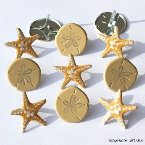 Eyelet Outlet Beach Shell Brads-eyelet outlet, beach, shell, summer,vacation, brads,  kids, scrapbooking, embellishments