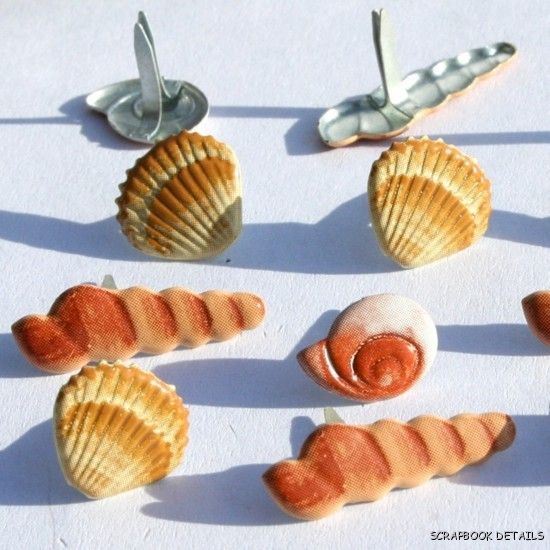 Eyelet Outlet Beach Shell Brads (sm)-eyelet outlet, beach shell brads, scrapbooking, embellishments, cardmaking, summer, kids