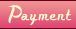 Payment Terms