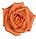 Peach and Orange