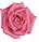 Pink and Fuschia