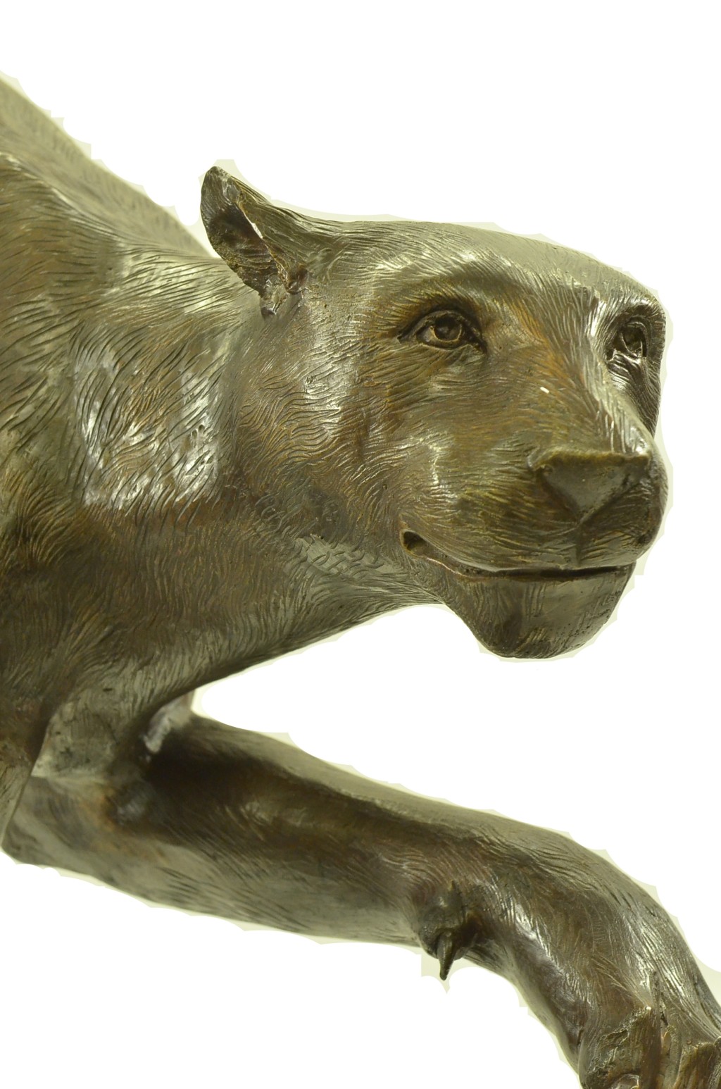 Bronze Sculpture Life Size Puma Cougar Panther Lion Outdoor Statue
