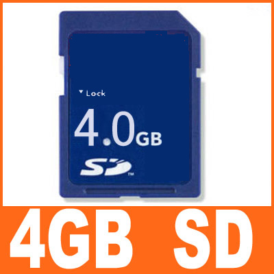 flash memory