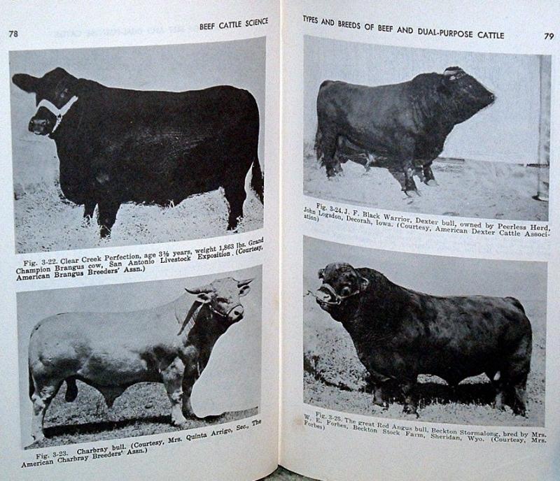 HARD-TO-FIND Cow Farming Ranch BEEF CATTLE SCIENCE BOOK