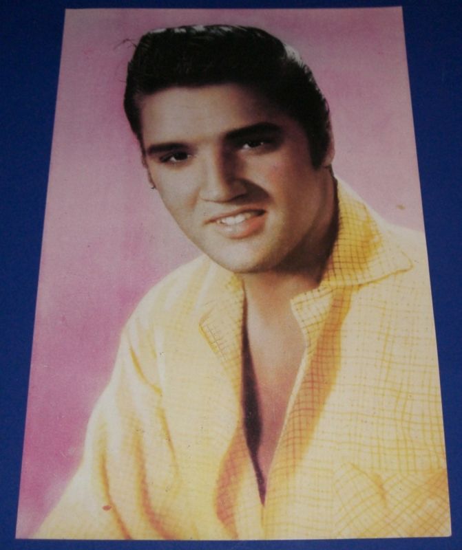 1977 ELVIS PRESLEY POSTER 17X11" *MUST SEE COLOR!!!*