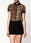 women's dress