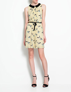 women's dress