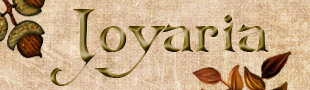   eBay Store 