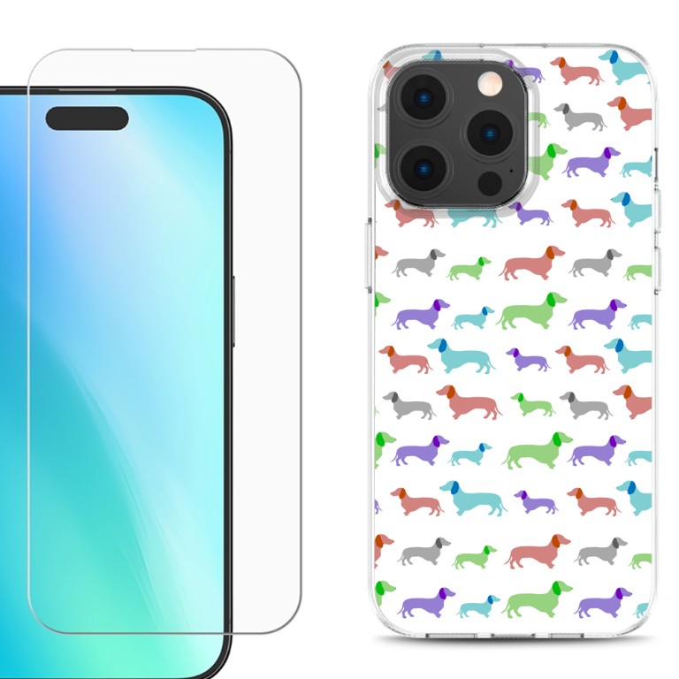 Colorful Dachshund