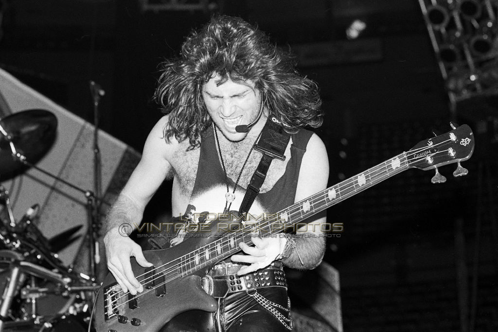 kip winger winger photo 8x12 or 8x10 inch live 80s concert