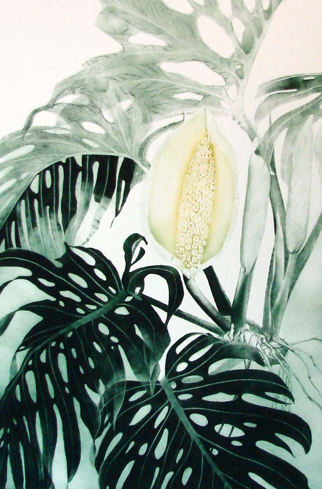 G H Rothe CERIMAN Green Hand Signed ARTwork Limited Edition plant art L@@K  | eBay