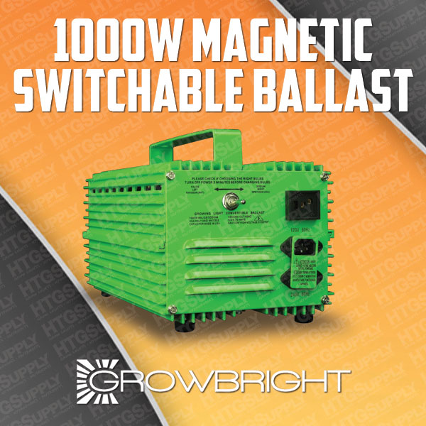 NEW 1000W BALLAST HPS MH 1000 WATT x digital w eBay