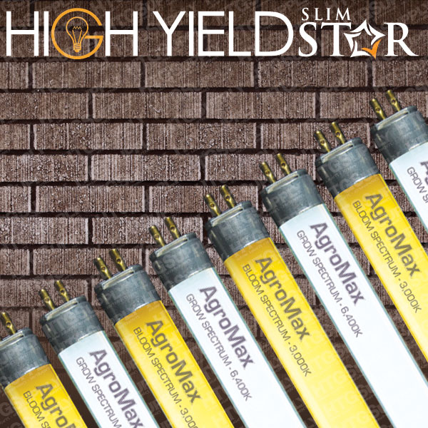 8 Bulb Fixture w 6500k Bulbs 120//240//277v GrowersHouse Grow Crew HO T5 V2 4/'