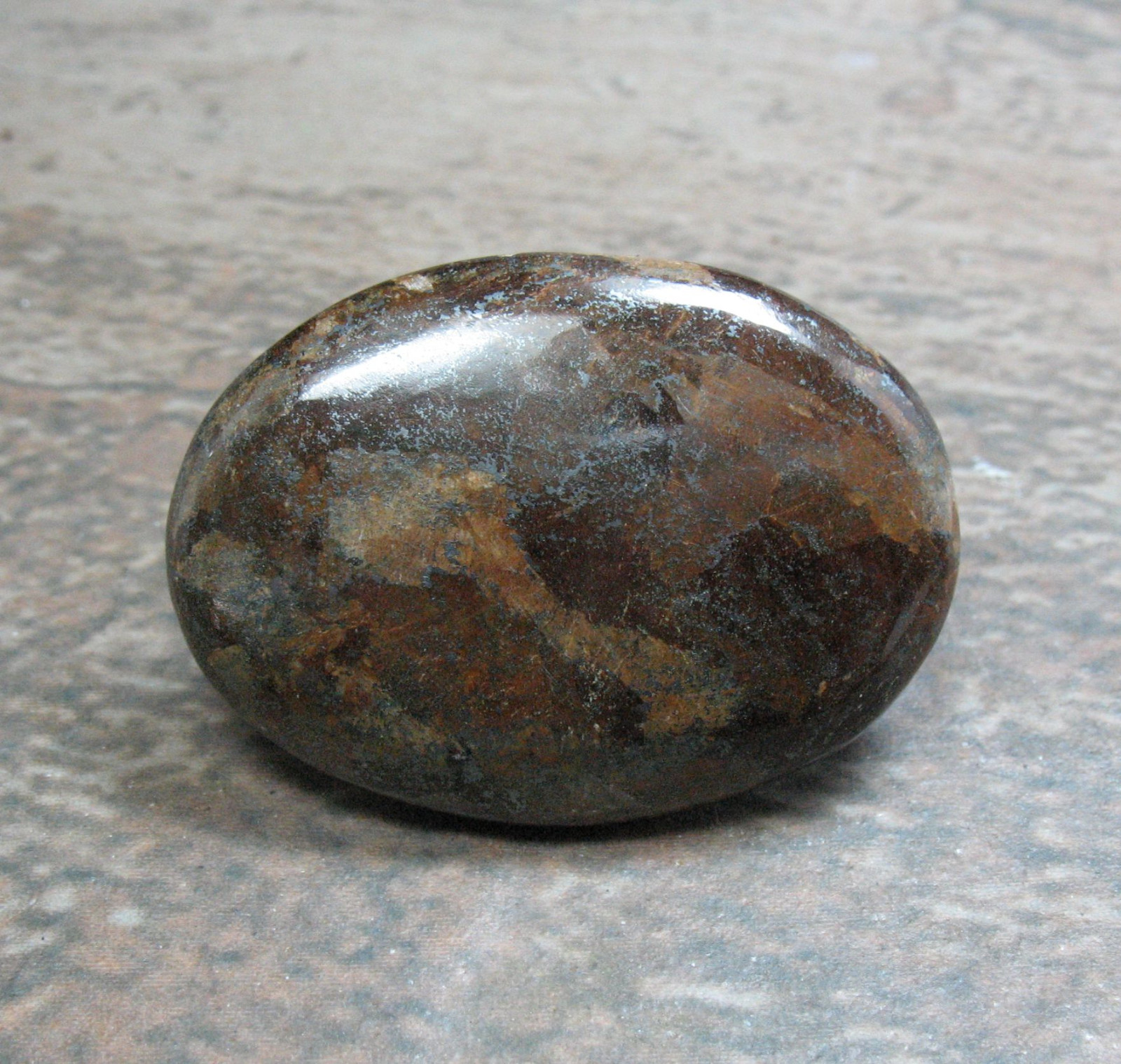 Bronzite Cabochon